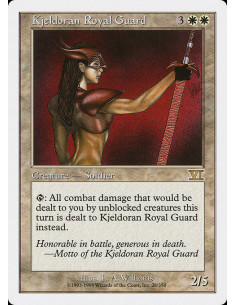 Kjeldoran Royal Guard