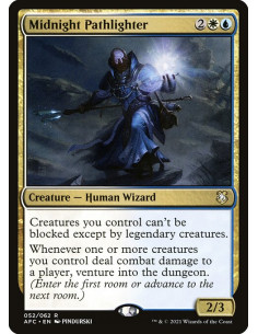 Midnight Pathlighter