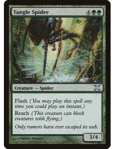 Tangle Spider