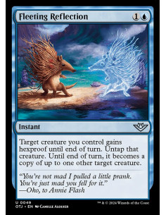 Fleeting Reflection - Foil