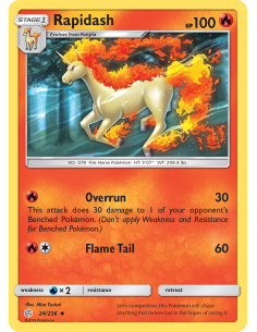 Rapidash