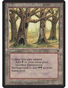 Havenwood Battleground