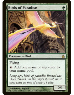 Birds of Paradise - Foil