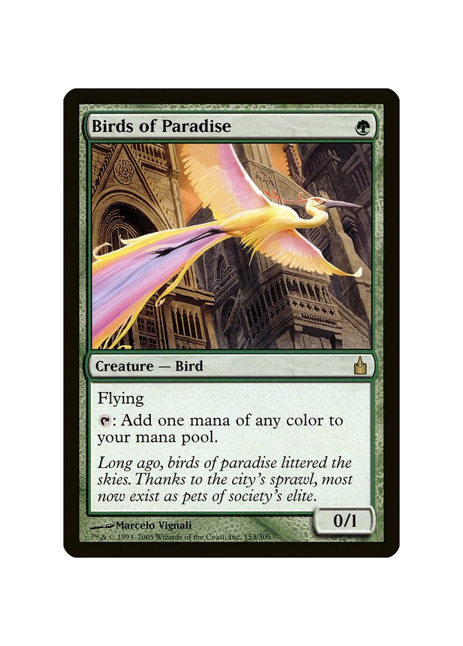 Birds of Paradise - Foil
