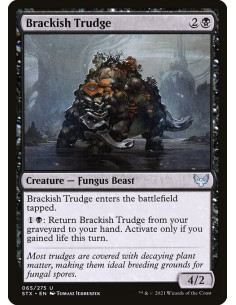 Brackish Trudge - Foil