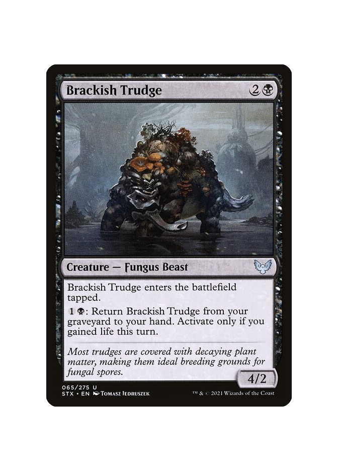 Brackish Trudge - Foil