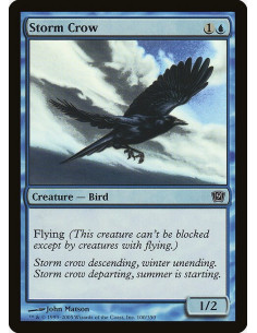 Storm Crow - Foil