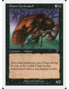 Giant Cockroach