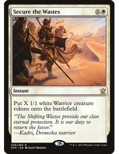Secure the Wastes - Foil