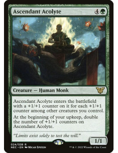 Ascendant Acolyte