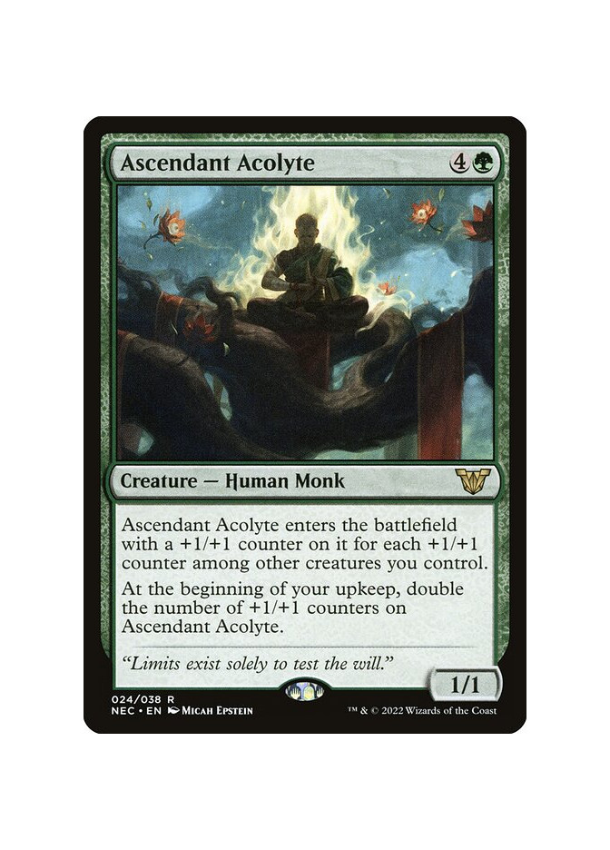 Ascendant Acolyte