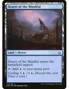 Desert of the Mindful