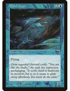 Wind Drake