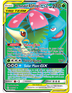 Venusaur & Snivy-GX