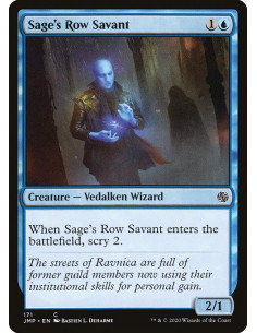 Sage's Row Savant