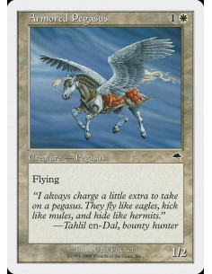 Armored Pegasus