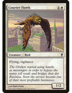 Courier Hawk - Foil
