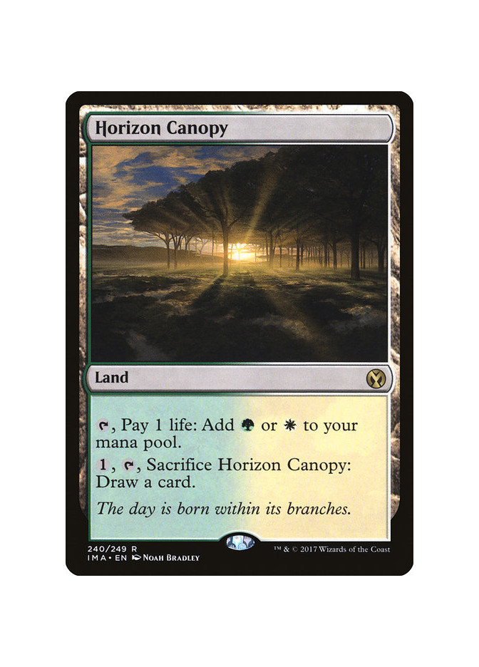 Horizon Canopy - Foil