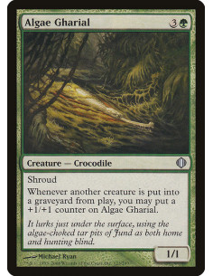 Algae Gharial - Foil