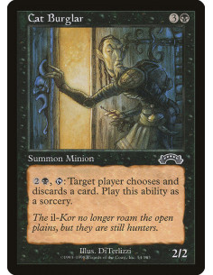 Cat Burglar