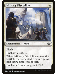 Military Discipline - Foil
