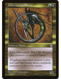 Hibernation Sliver