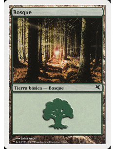 Forest