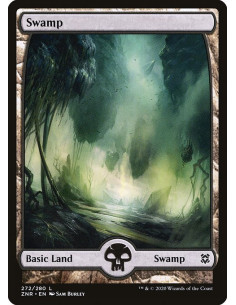 Swamp