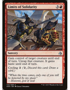 Limits of Solidarity - Foil