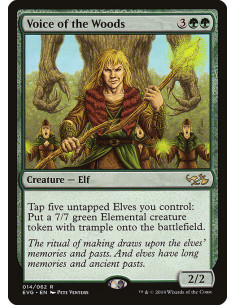 Voice of the Woods