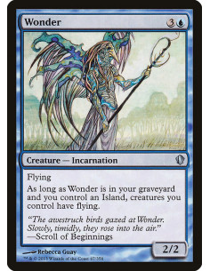 Wonder