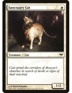 Sanctuary Cat - Foil