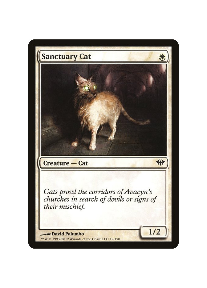 Sanctuary Cat - Foil