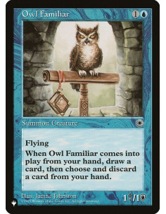 Owl Familiar