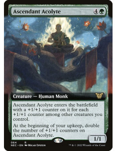 Ascendant Acolyte