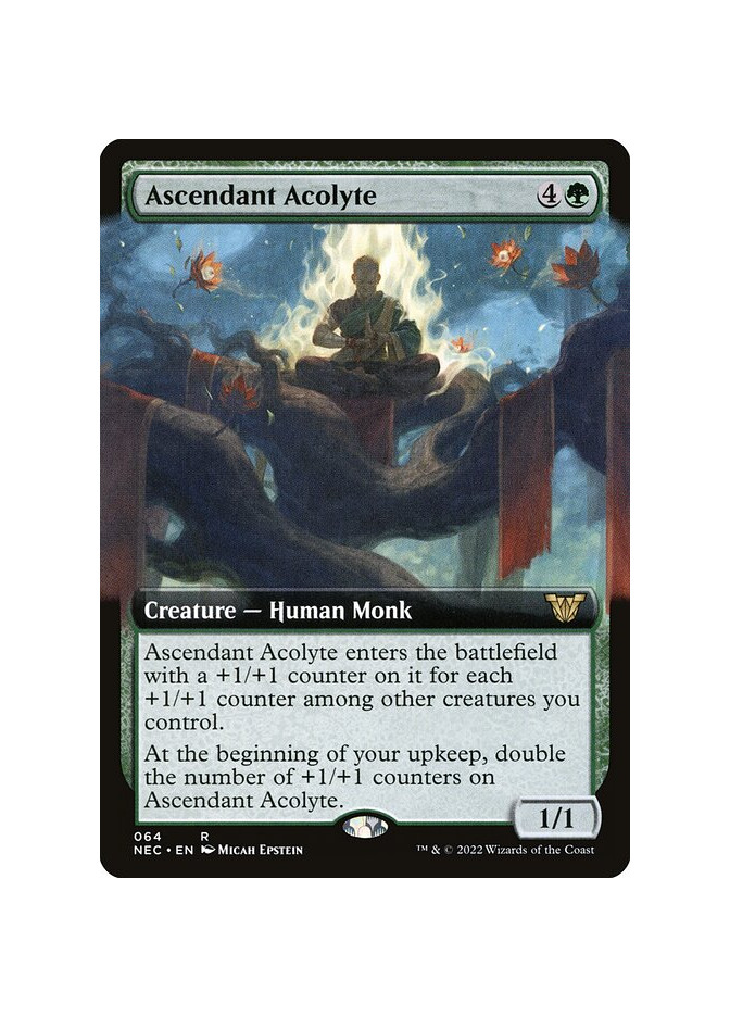 Ascendant Acolyte