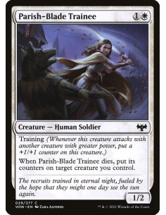 Parish-Blade Trainee - Foil