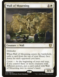 Wall of Mourning