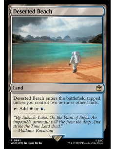 Deserted Beach - Foil