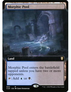 Morphic Pool - Foil