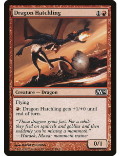 Dragon Hatchling