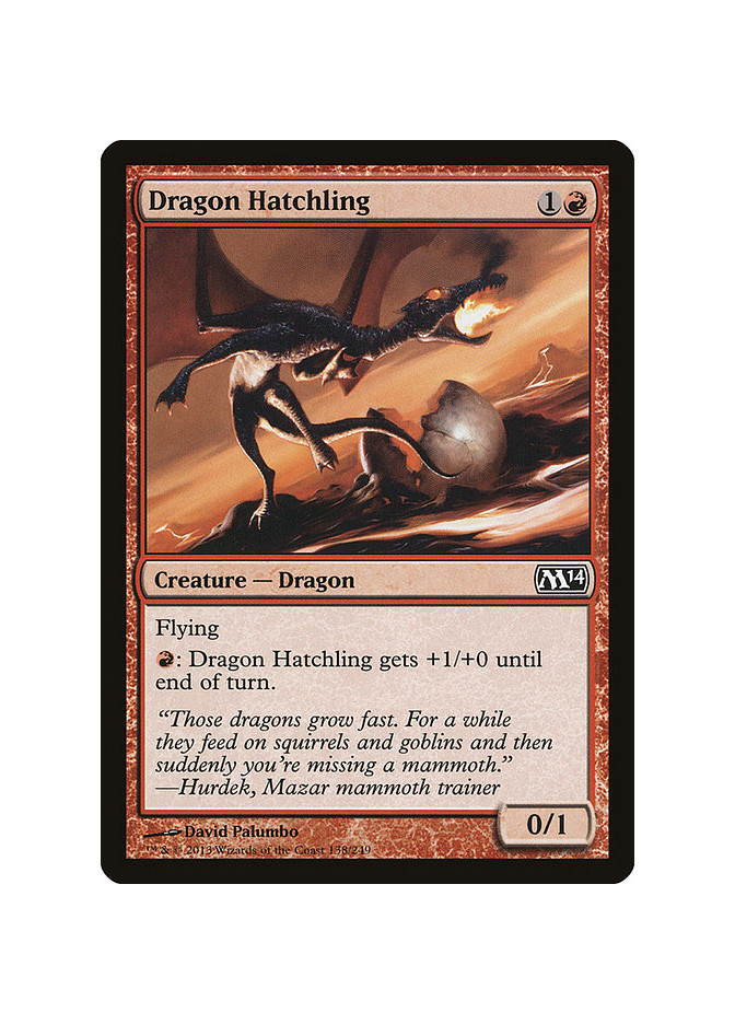 Dragon Hatchling