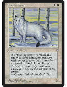 Arctic Foxes