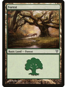 Forest - Foil