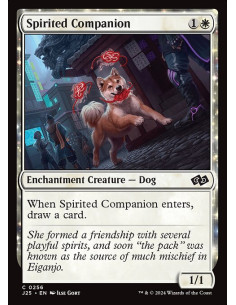 Spirited Companion