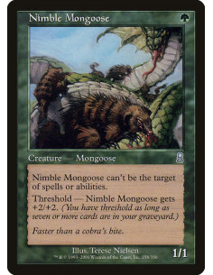 Nimble Mongoose