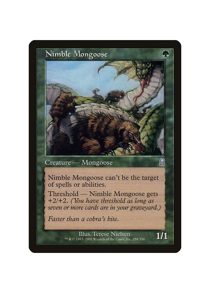 Nimble Mongoose - Foil