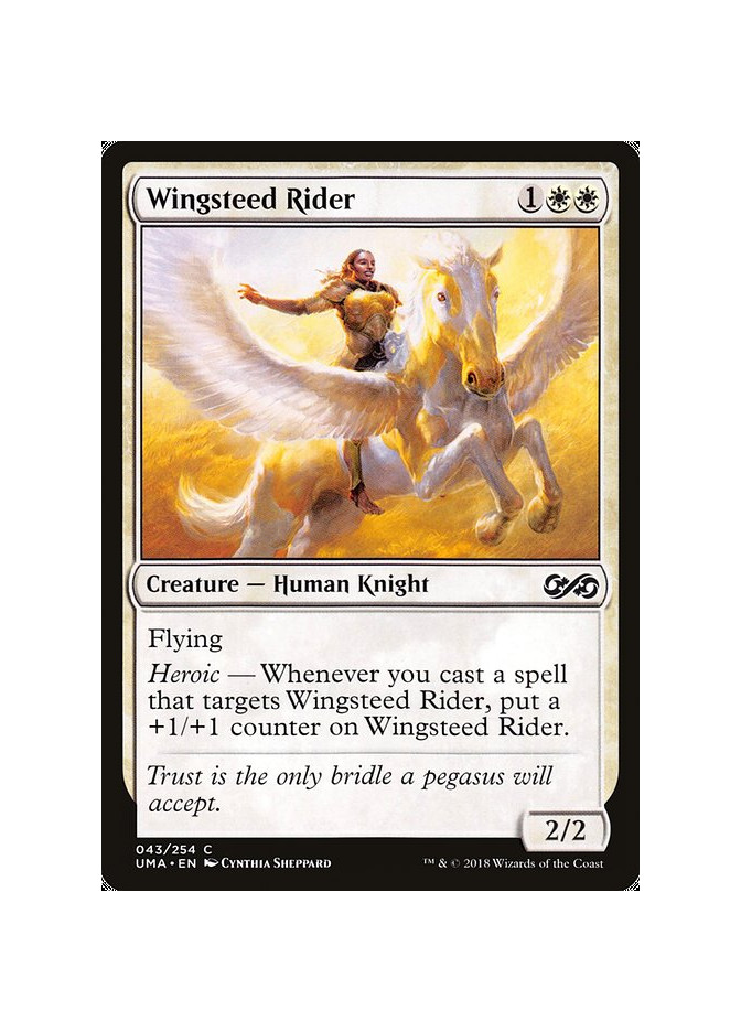 Wingsteed Rider - Foil