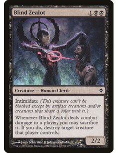 Blind Zealot