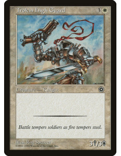 Trokin High Guard